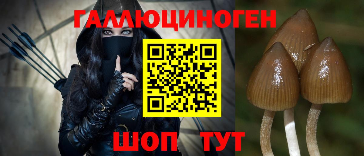 Галлюциногенные грибы GOLDEN TEACHER Холмск